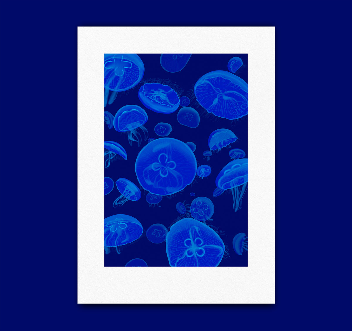 Aurelia Aurita | Affiche Cherbourg | Mer & Bateaux - 30 ex